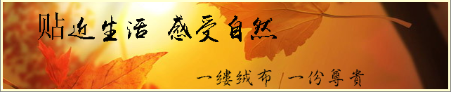 一縷絨布，一份尊貴